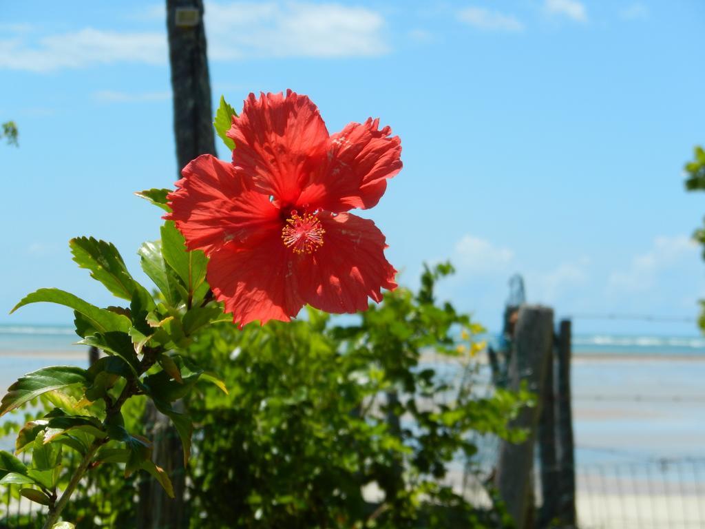 Pousada Tatiba Morro de São Paulo Eksteriør bilde